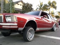 1979 Chevrolet Monte Carlo for sale in Michigan (ID-162795)