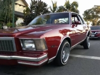 1979 Chevrolet Monte Carlo for sale in Michigan (ID-162795)