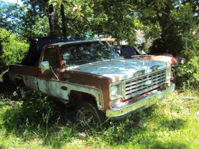 1979 Chevrolet Pickup for sale