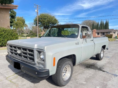1979 Chevrolet Pickup for sale