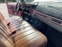 1979 Chevrolet Pickup for sale in Michigan (ID-118535)