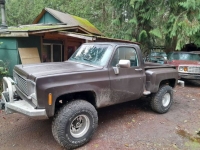 1979 Chevrolet Pickup for sale in Michigan (ID-125256)