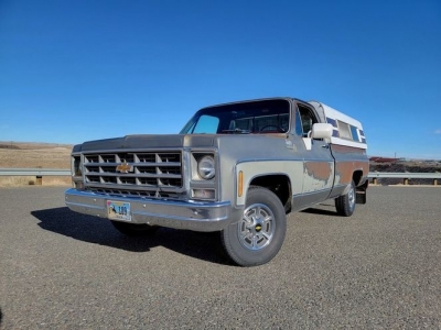 1979 Chevrolet Scottsdale for sale