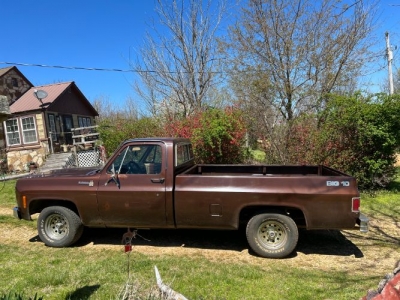 1979 Chevrolet Scottsdale for sale