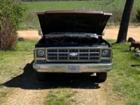 1979 Chevrolet Scottsdale for sale in Michigan (ID-97424)