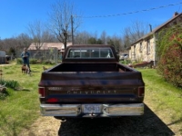 1979 Chevrolet Scottsdale for sale in Michigan (ID-97424)