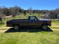 1979 Chevrolet Scottsdale for sale in Michigan (ID-97424)