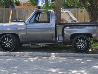 1979 Chevrolet Scottsdale for sale
