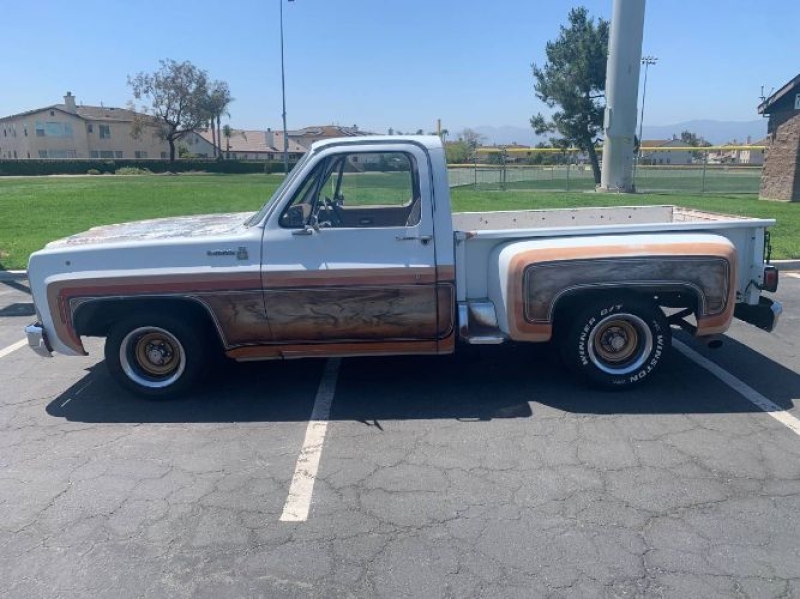 1979 Chevrolet Scottsdale for sale in Michigan (ID-130058)