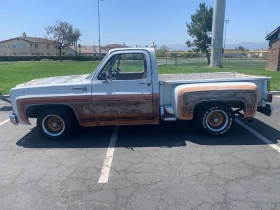 1979 Chevrolet Scottsdale for sale