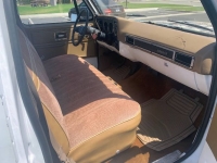 1979 Chevrolet Scottsdale for sale in Michigan (ID-130058)