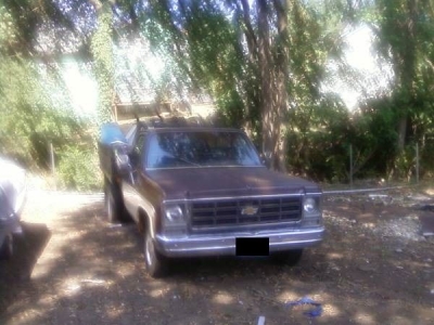 1979 Chevrolet Silverado for sale