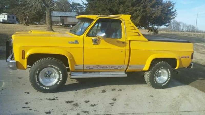 1979 Chevrolet Silverado for sale (ID-100628) 1979 Chevrolet Silverado for sale (ID-100628)