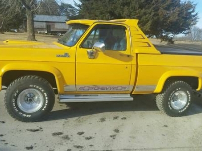 1979 Chevrolet Silverado for sale
