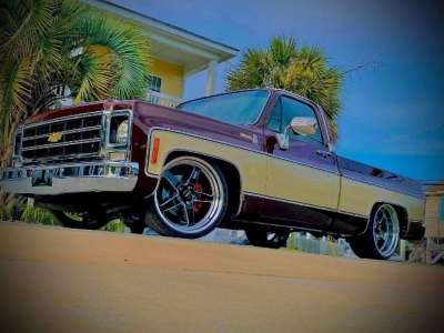 1979 Chevrolet Silverado for sale
