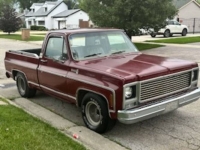 1979 Chevrolet Silverado for sale in Michigan (ID-118619)