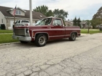 1979 Chevrolet Silverado for sale in Michigan (ID-118619)