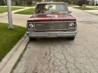 1979 Chevrolet Silverado for sale in Michigan (ID-118619)
