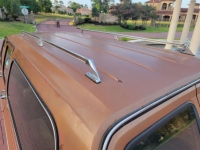 1979 Chevrolet Silverado for sale (ID-102843)
