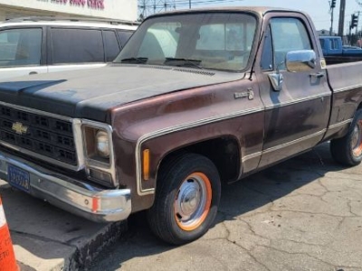1979 Chevrolet Silverado for sale in Michigan