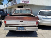1979 Chevrolet Silverado for sale in Michigan (ID-144639)