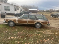 1979 Chrysler Town & Country for sale in Michigan (ID-122938)