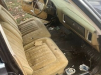 1979 Chrysler Town & Country for sale in Michigan (ID-122938)