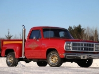 1979 Dodge D100 for sale in Riverhead, New York (ID-121664)