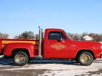 1979 Dodge D100 for sale in Riverhead, New York (ID-121664)