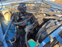 1979 Dodge Diplomat for sale in Michigan (ID-163728)