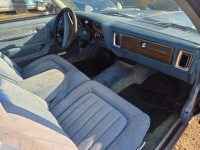 1979 Dodge Diplomat for sale in Michigan (ID-163728)