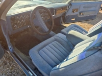 1979 Dodge Diplomat for sale in Michigan (ID-163728)