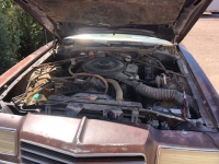 1979 Dodge Magnum for sale in Michigan (ID-130206)
