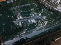 1979 Fiat Spider for sale in Michigan (ID-129864)