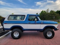 1979 Ford Bronco for sale (ID-117542)