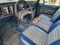 1979 Ford Bronco for sale (ID-117542)