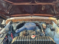 1979 Ford Bronco for sale in Michigan (ID-136384)