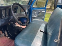 1979 Ford F100 for sale in Michigan (ID-121577)