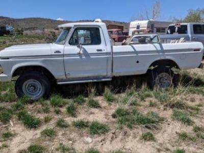 1979 Ford F150 for sale