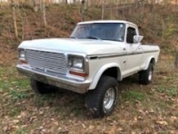 1979 Ford F150 for sale in Michigan (ID-124683)