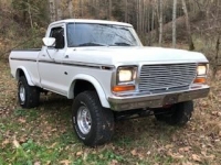 1979 Ford F150 for sale in Michigan (ID-124683)