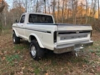 1979 Ford F150 for sale in Michigan (ID-124683)
