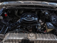 1979 Ford F150 for sale in Riverhead, New York (ID-127534)