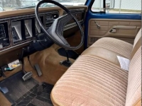 1979 Ford F150 for sale in Michigan (ID-142492)