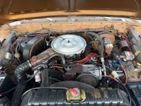 1979 Ford F150 for sale in Michigan (ID-162712)