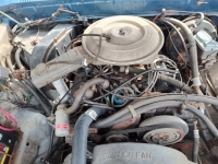 1979 Ford F250 for sale in Michigan (ID-162684)