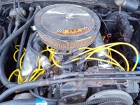 1979 Ford Fairmont for sale in Michigan (ID-117558)