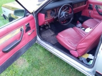 1979 Ford Fairmont for sale in Michigan (ID-117558)