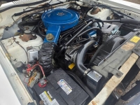 1979 Ford Granada for sale in Michigan (ID-164138)