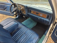 1979 Ford Granada for sale in Michigan (ID-164138)